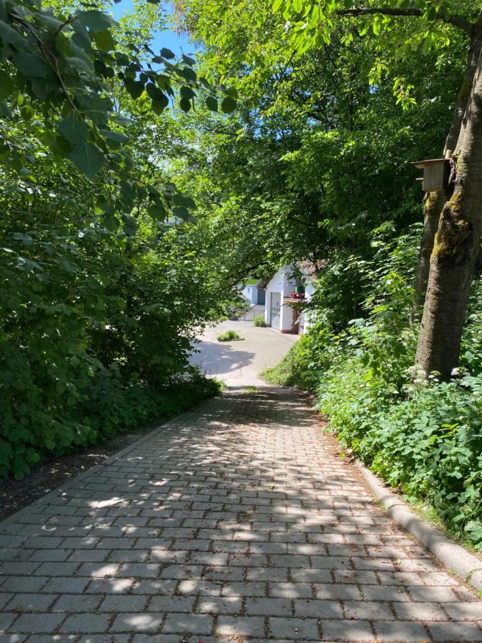 Haus Dreil Apartment Ober-Abtsteinach ภายนอก รูปภาพ